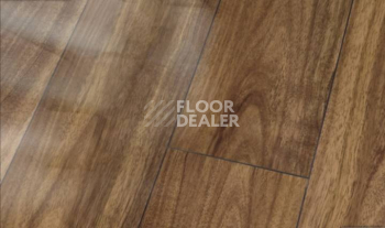 Ламинат Falquon Blue Line Wood 8mm D2917 CANYON KOA PERFEKT фото 1 | FLOORDEALER